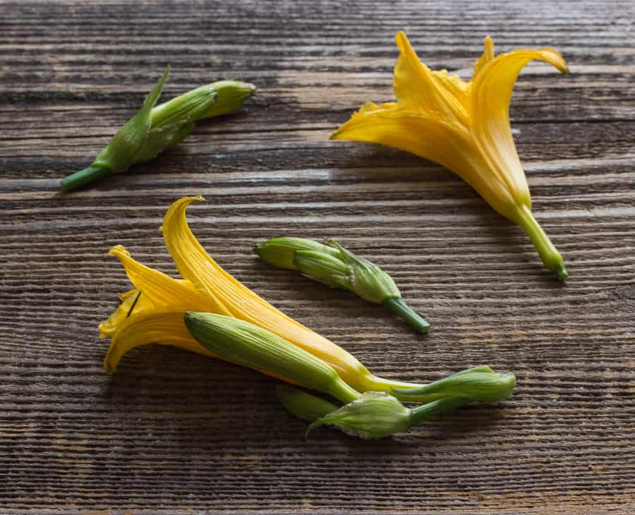 Day lily flowers and buds 