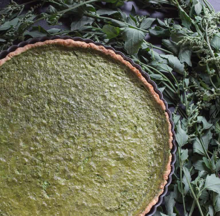 Wild Spinach / Common Lamb's Quarters Forager Chef