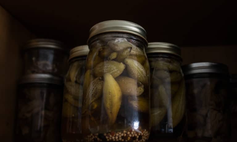 How To Forage And Cook Milkweed Pods