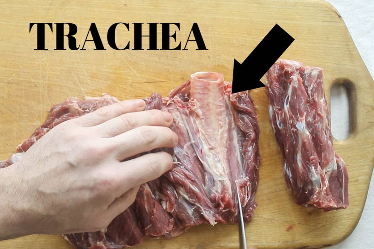 removing the trachea from a venison neck