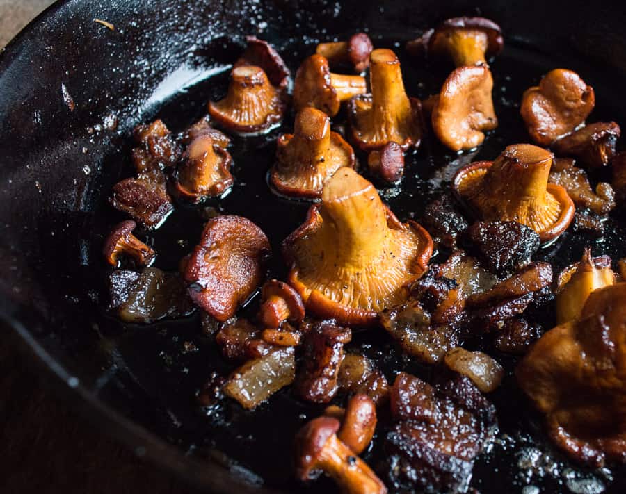 Chanterelle Mushrooms