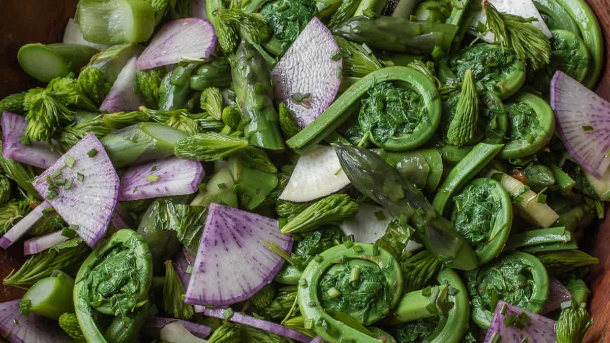 Fiddlehead, Asparagus Salad with Spruce Tips Violets and Chickweed