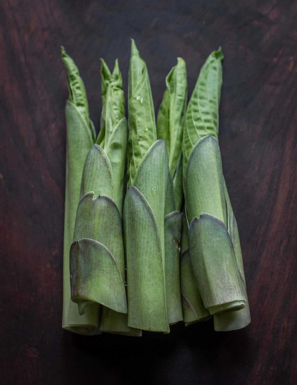 Edible hosta shoots 