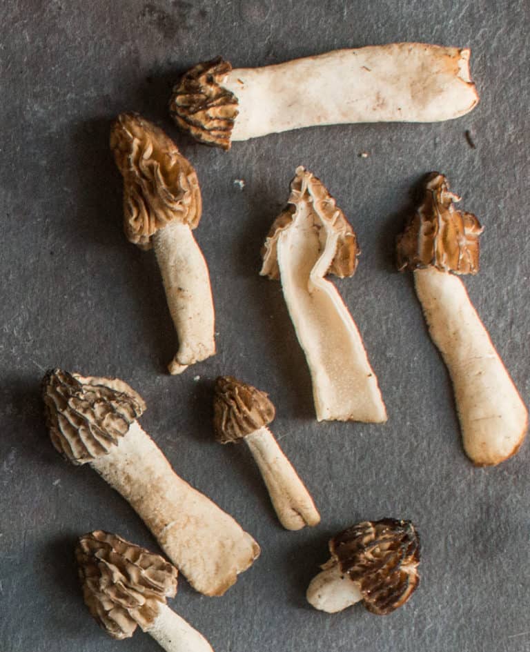 HalfFree Morel Mushrooms (Peckerheads)