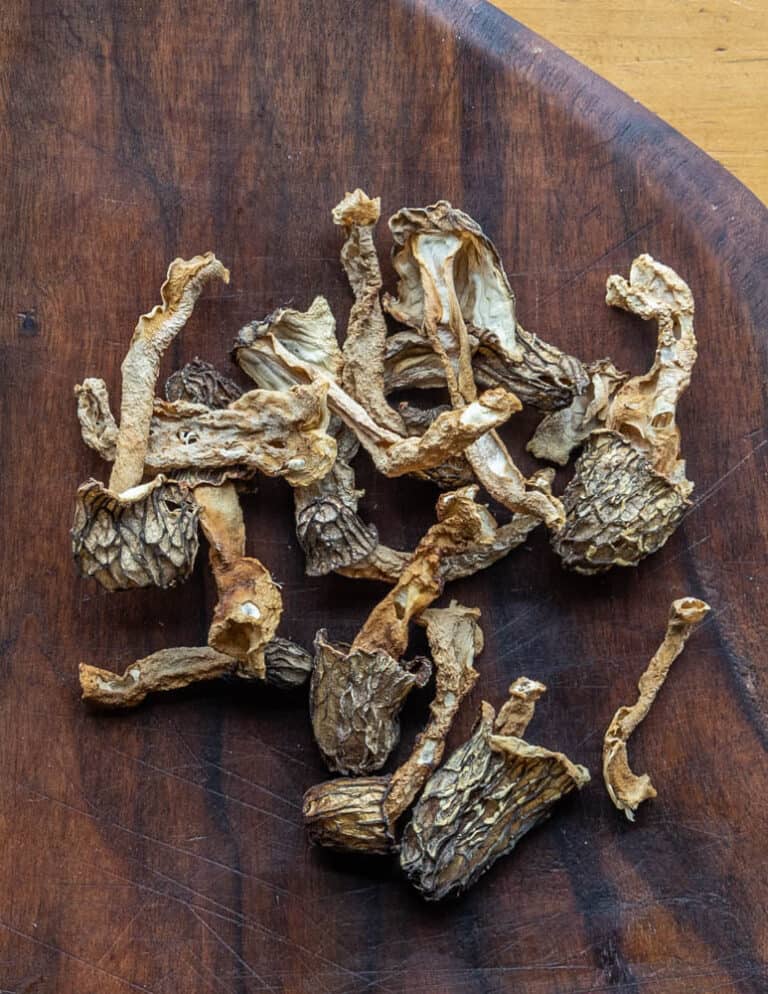 HalfFree Morel Mushrooms (Peckerheads)