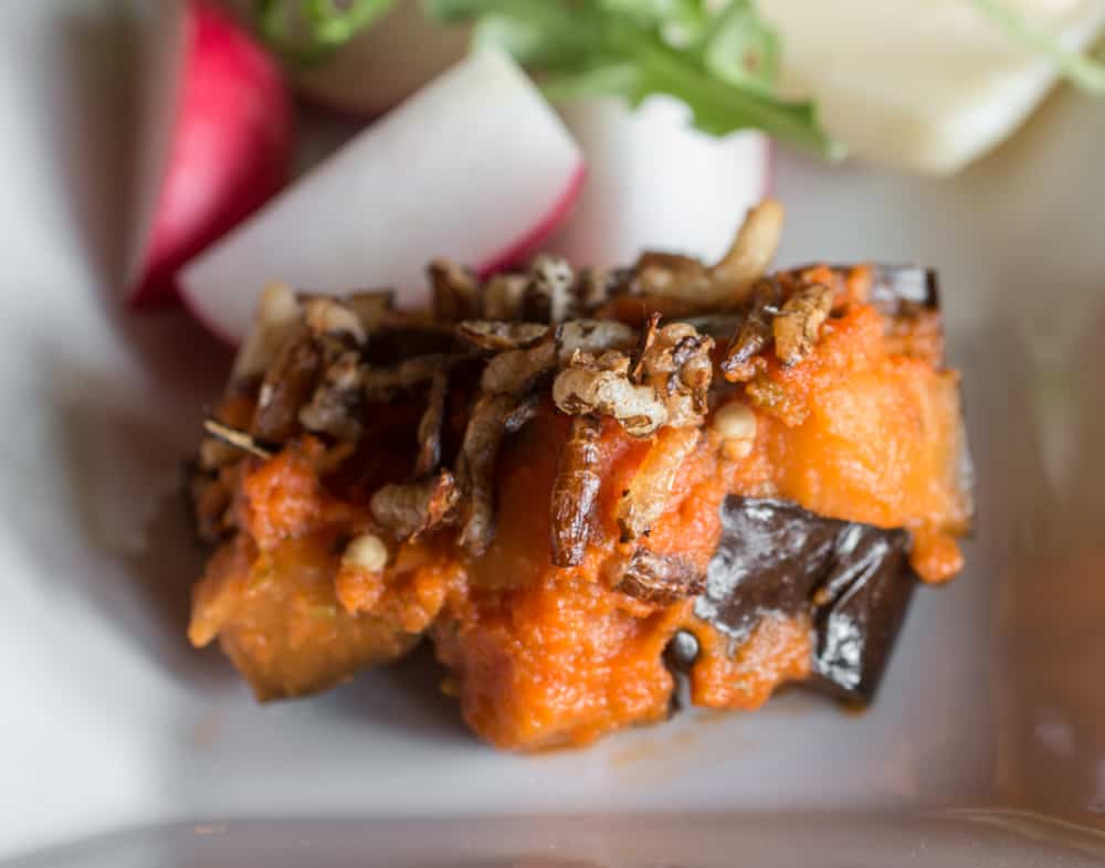 aubergine gratin with tomato and herbs. 