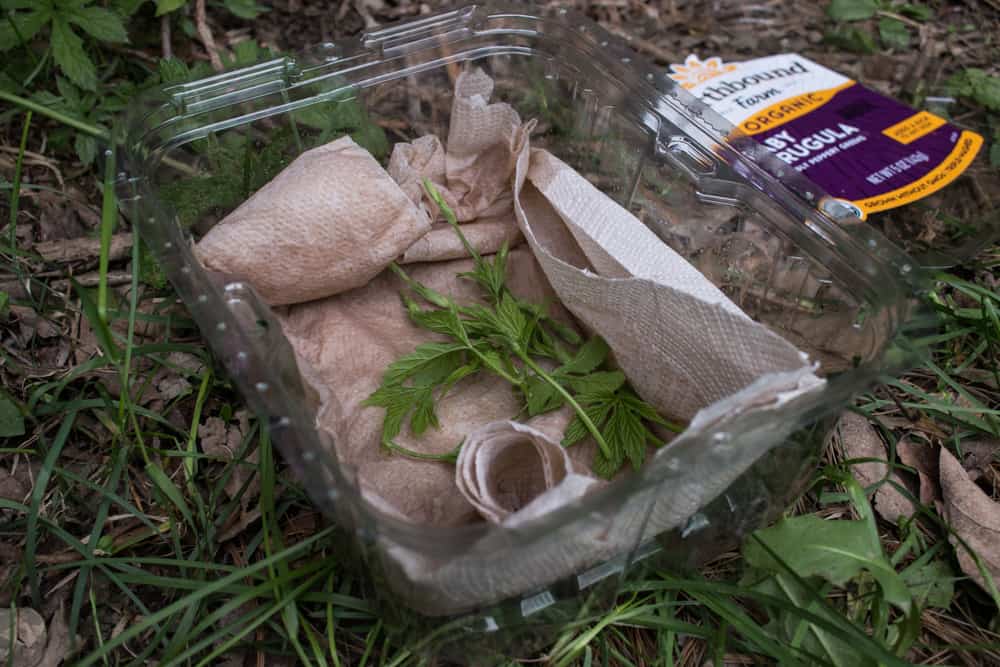 Foraging and transporting wild flowers