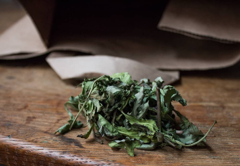 How to forage and store wild greens