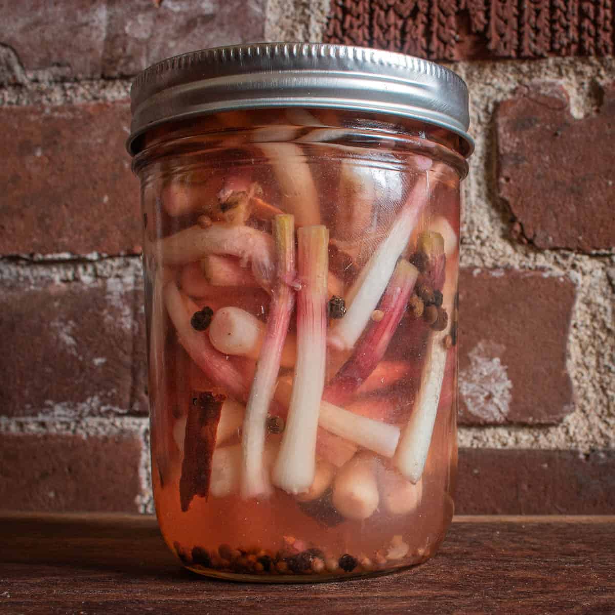 A jar of pickled ramps or wild leeks