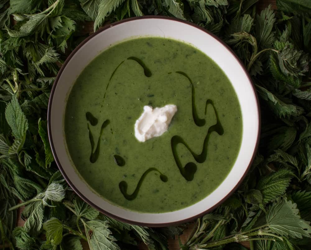 The best stinging nettle soup