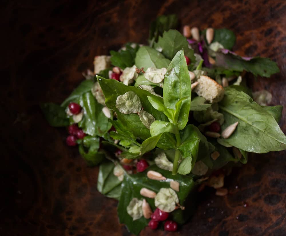 Foraged Lamb's Quarter and Chickweed Salad with Elm Samaras, Smude's