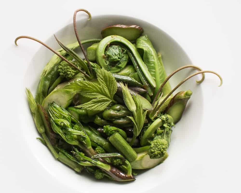 Foraged smilax, hops, asparagus, and milkweed shoots 