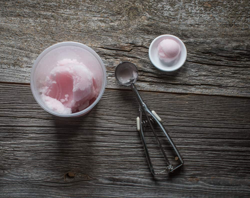 Milkweed Flower Sorbet