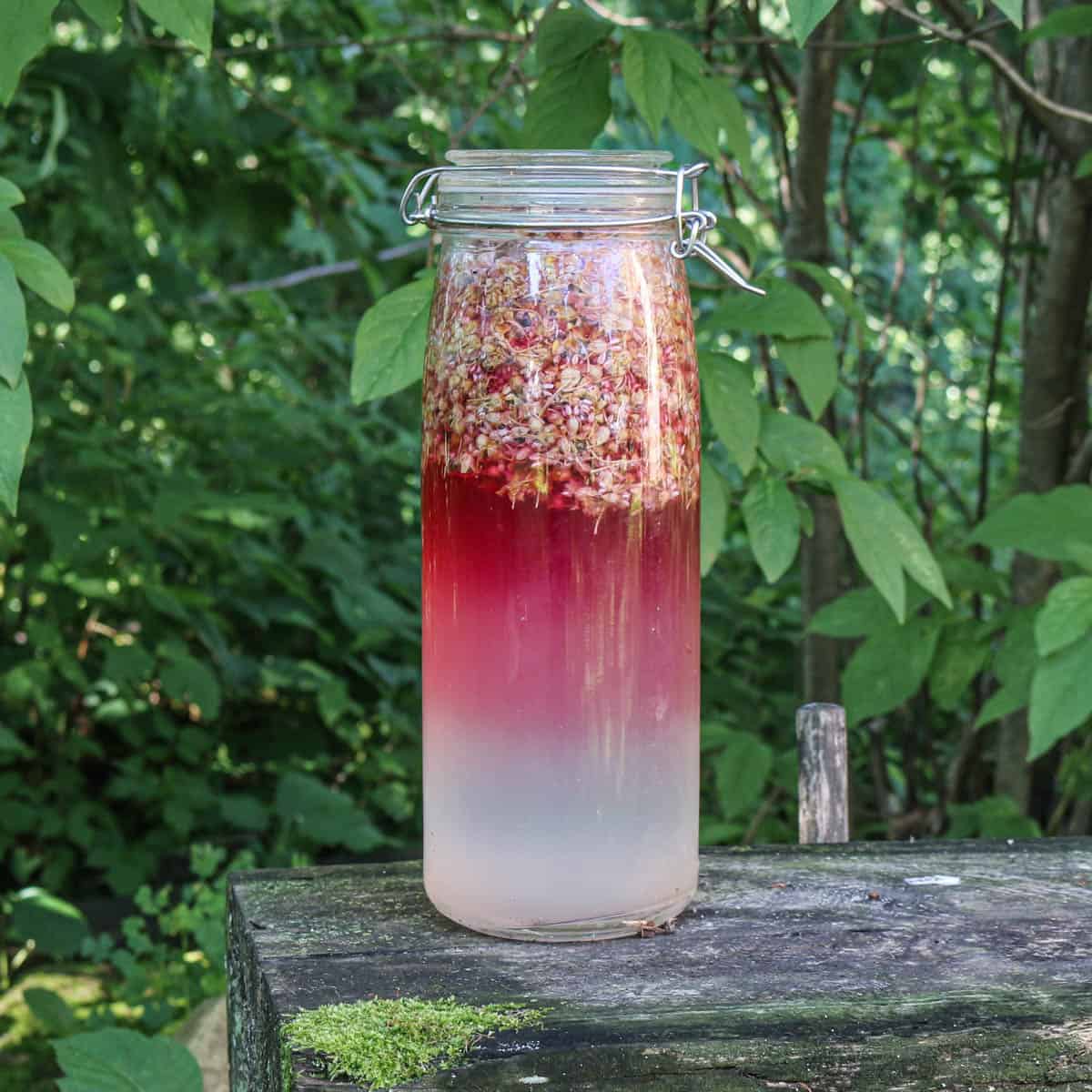 a two tone red and white cordial being fermented 