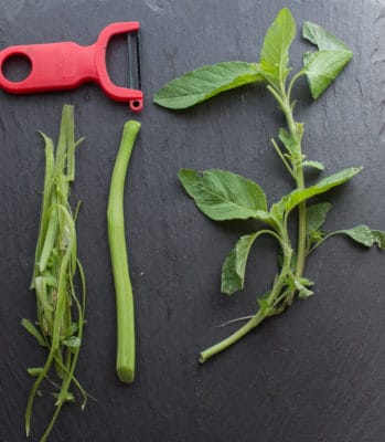 Edible Wild Green Amaranth Amaranthus retroflexus_