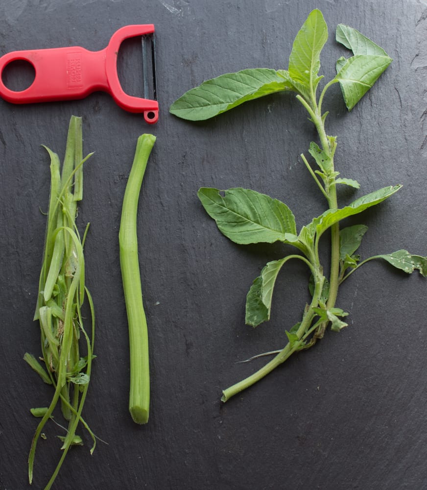 cutting and trimming wild amaranth greens 