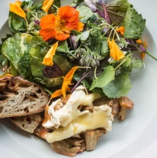 Baked chanterelle mushroom conserve with wild greens and melted brie