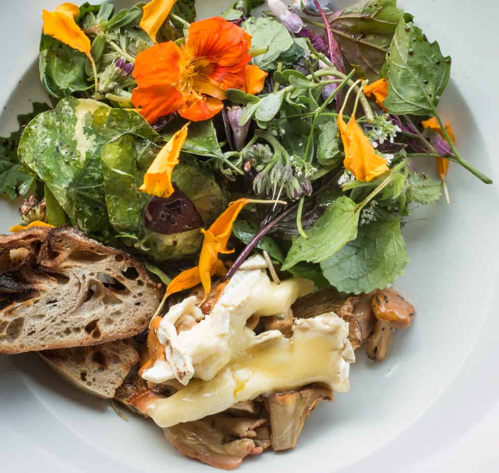 Baked chanterelle mushroom conserve with wild greens and melted brie