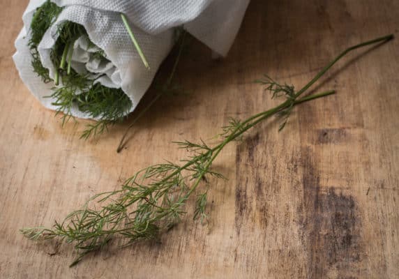 Wild caraway leaves