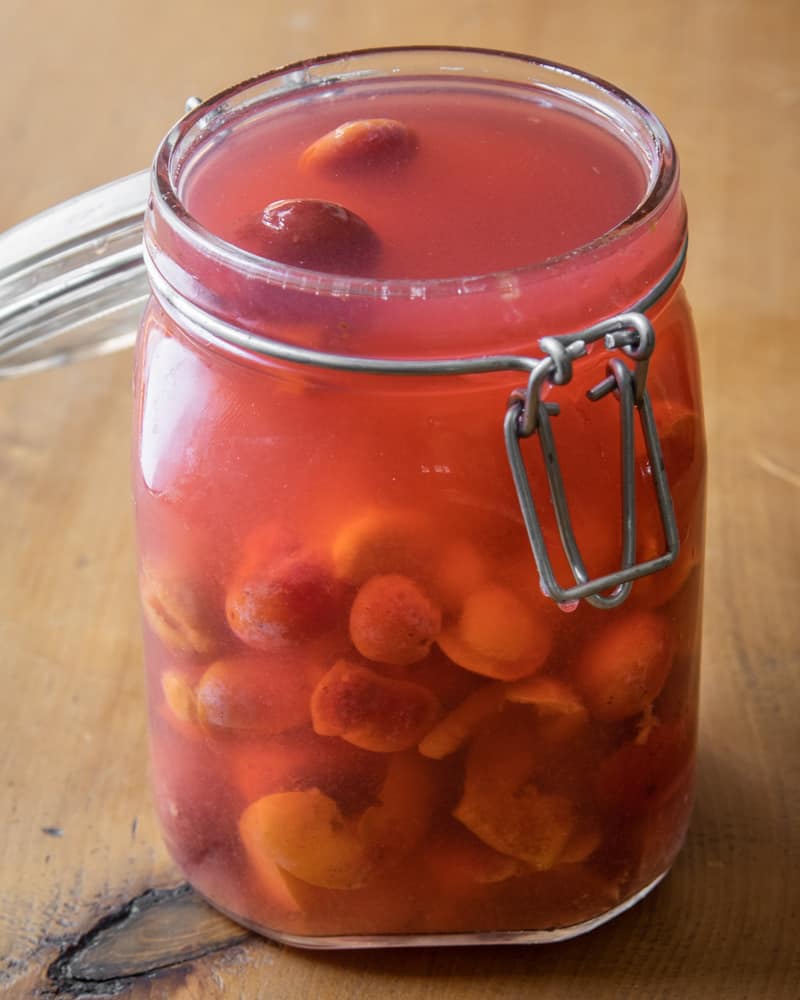 Fermented wild plum vinegar