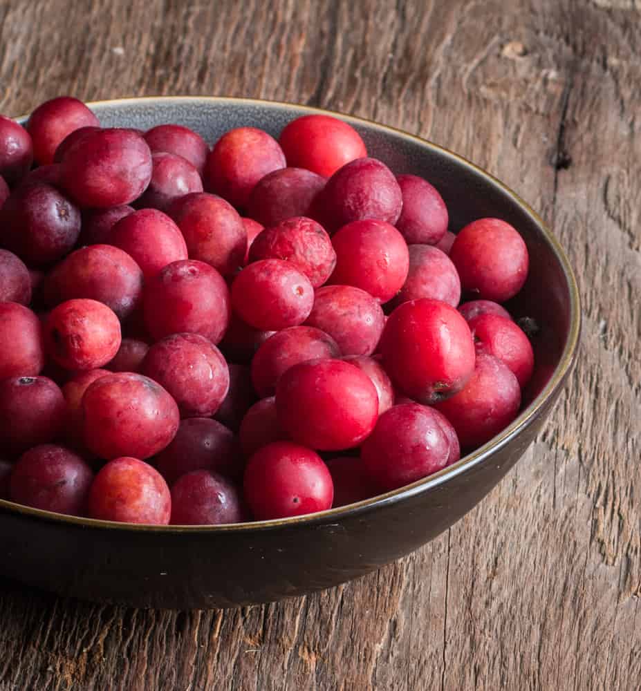 foraged plums from Minnesota