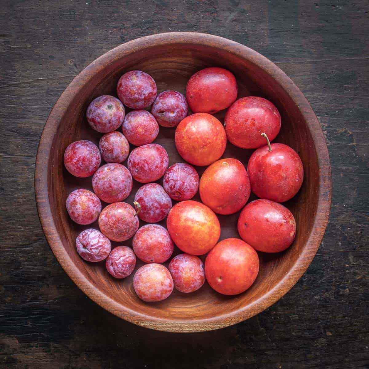 Wild plums from Minnesota in a bowl (Prunus americana).