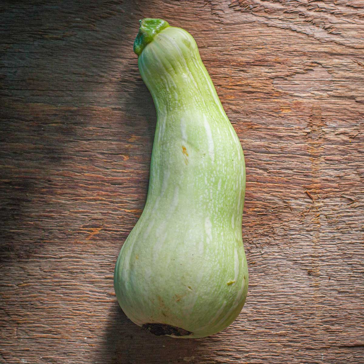 Unripe, edible butternut squash