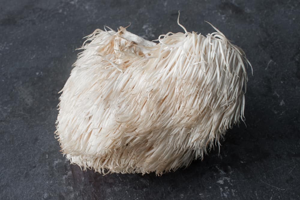 Edible Hericium erinaceaus mushroom