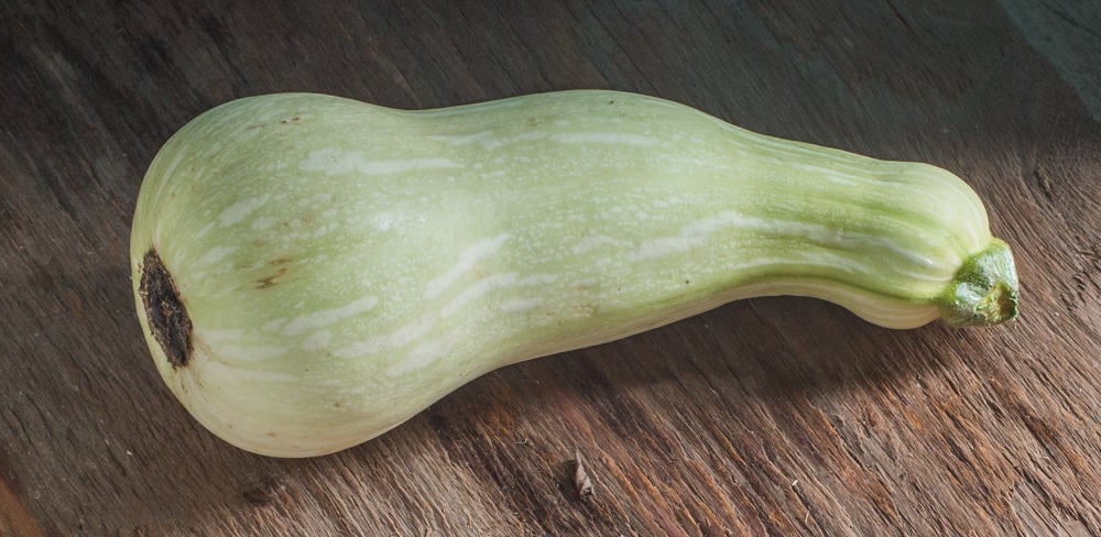 Unripe, edible butternut squash