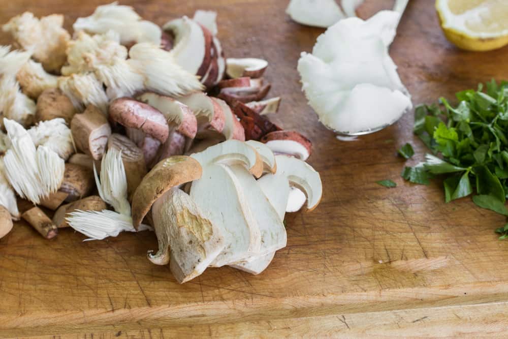 Porcini, Hericium, Hygrophorus Russula and Club Mushrooms