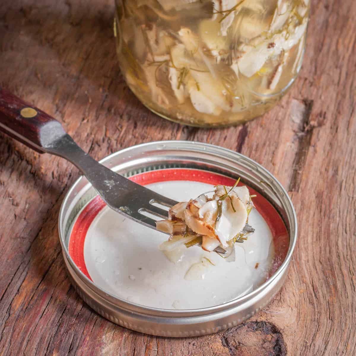 PIckled dryad saddle mushrooms with jalapeno and dill