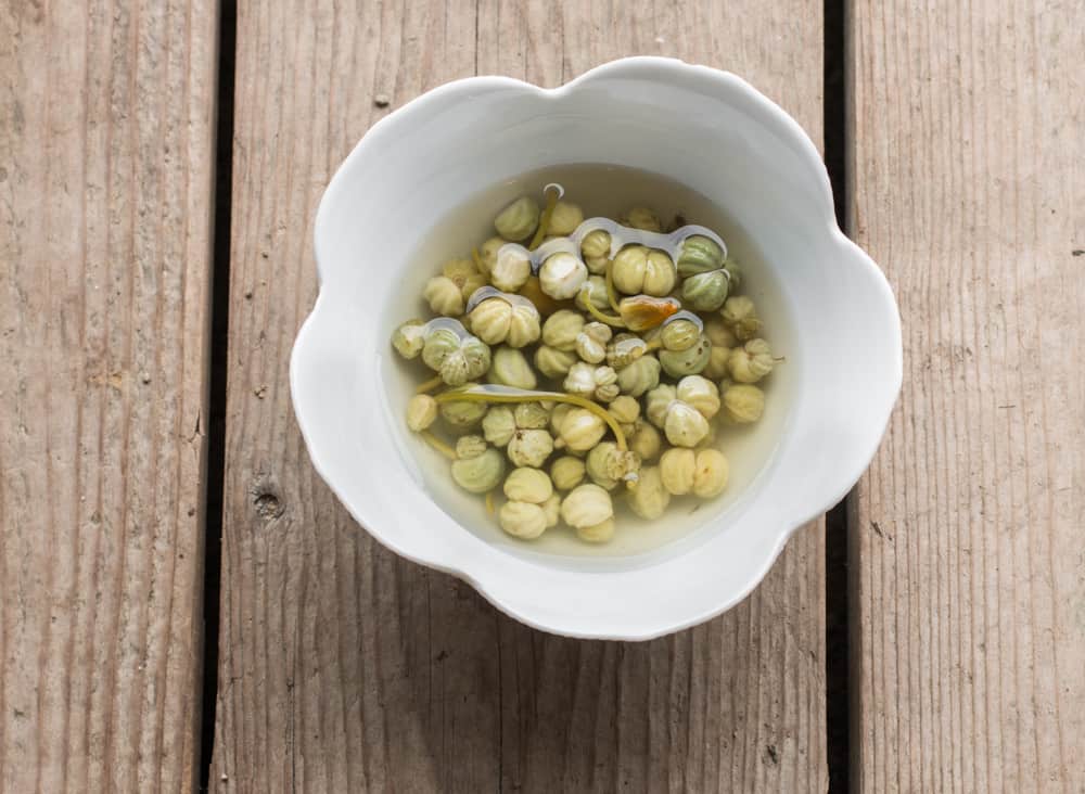 Homemade nasturtium capers, lacto-fermented