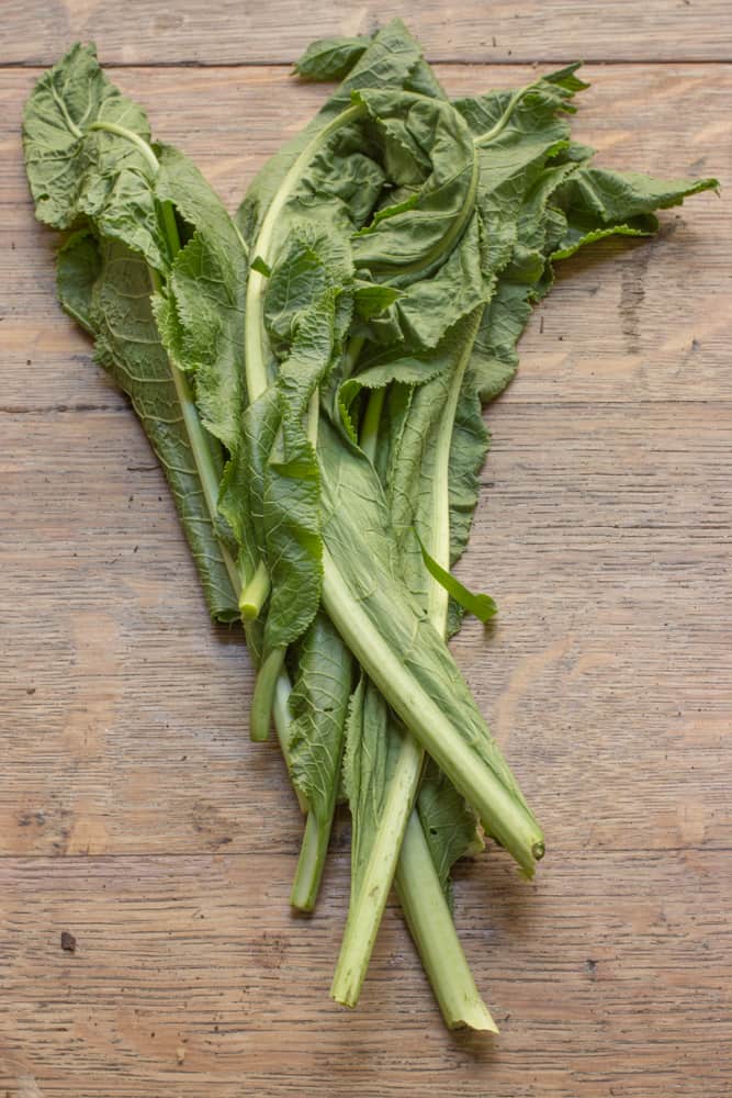 Wild horseradish leaves or greens