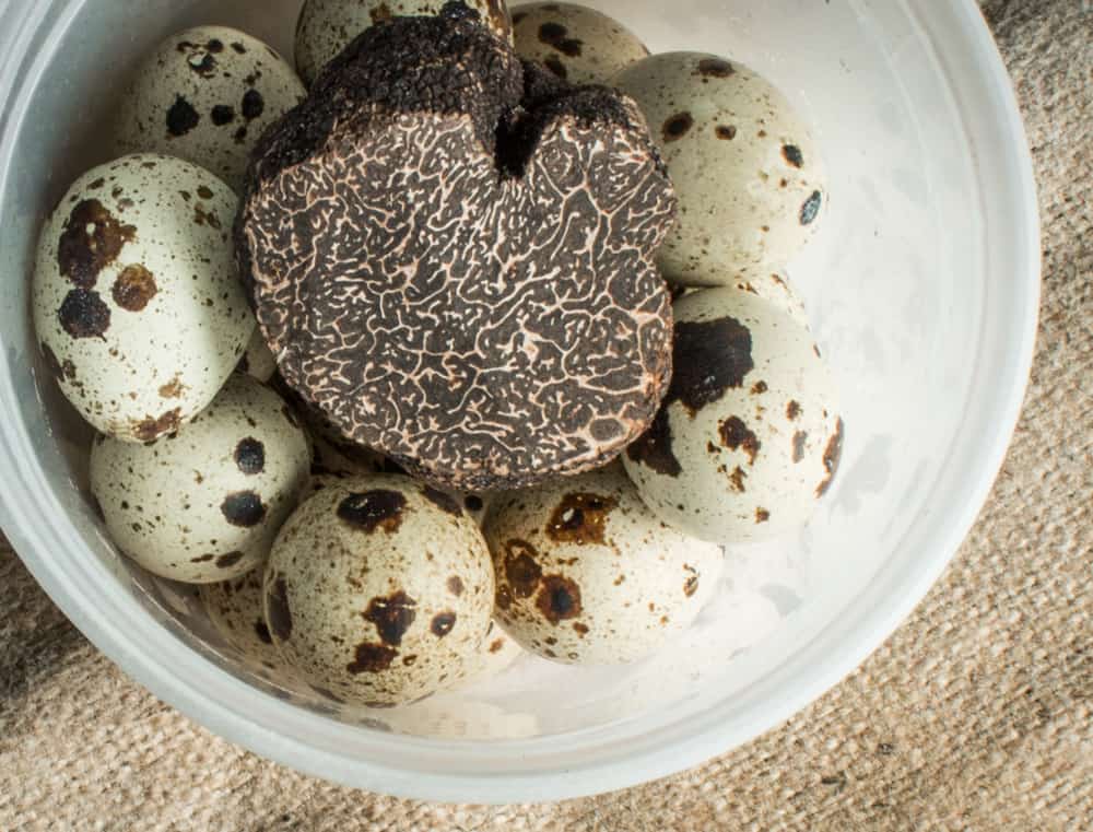 Quail eggs stored with black truffles 