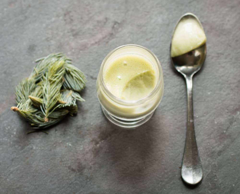 Spruce tip posset recipe