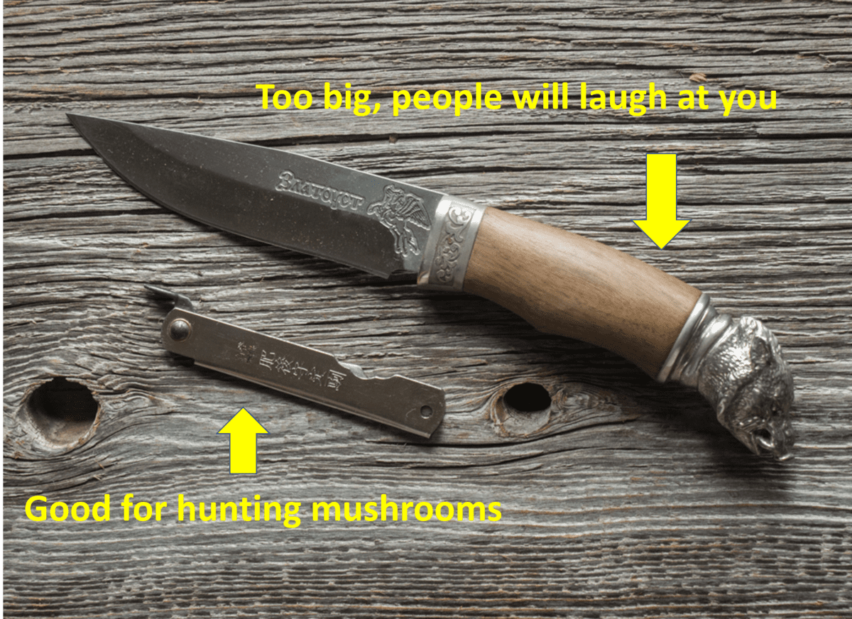 What is the Best Knife for Western and DIY Hunting?