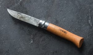 Mushroom Hunting Knives