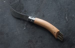 Mushroom Hunting Knives