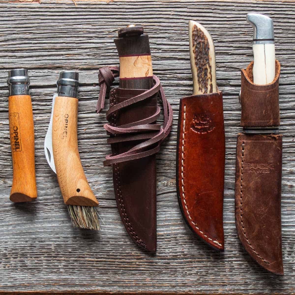 The Best Mushroom Hunting Knives