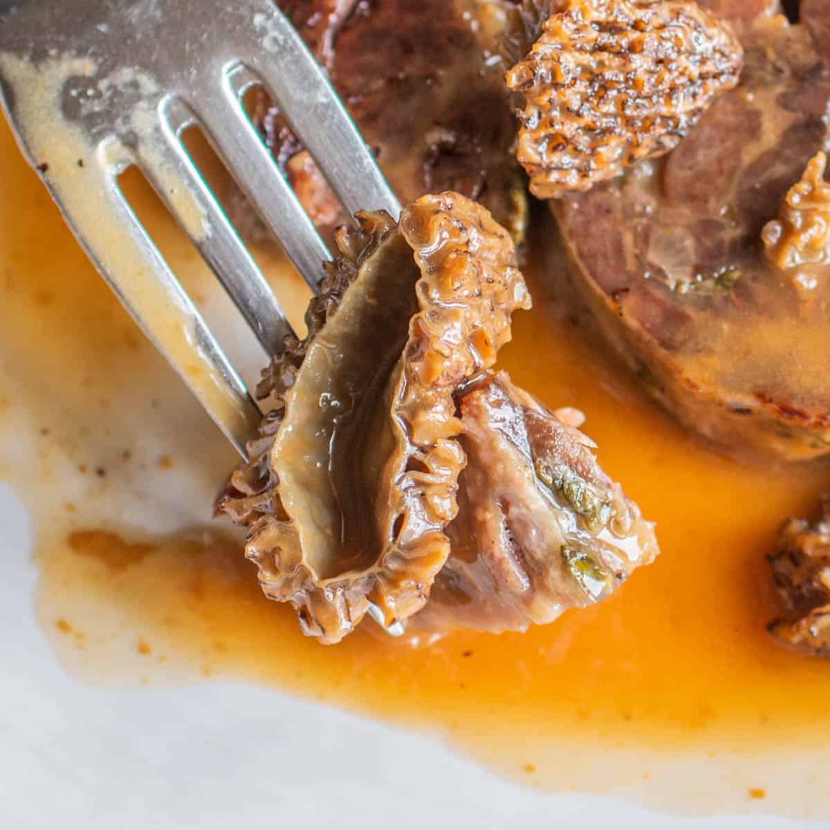 A fork with morels and sauce on it 