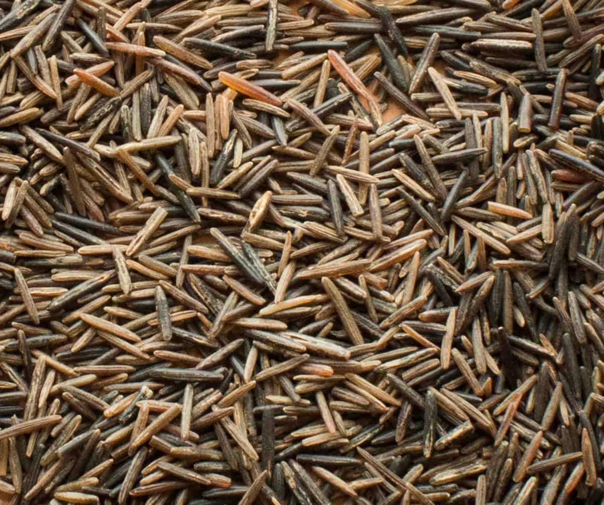 Parched wild rice