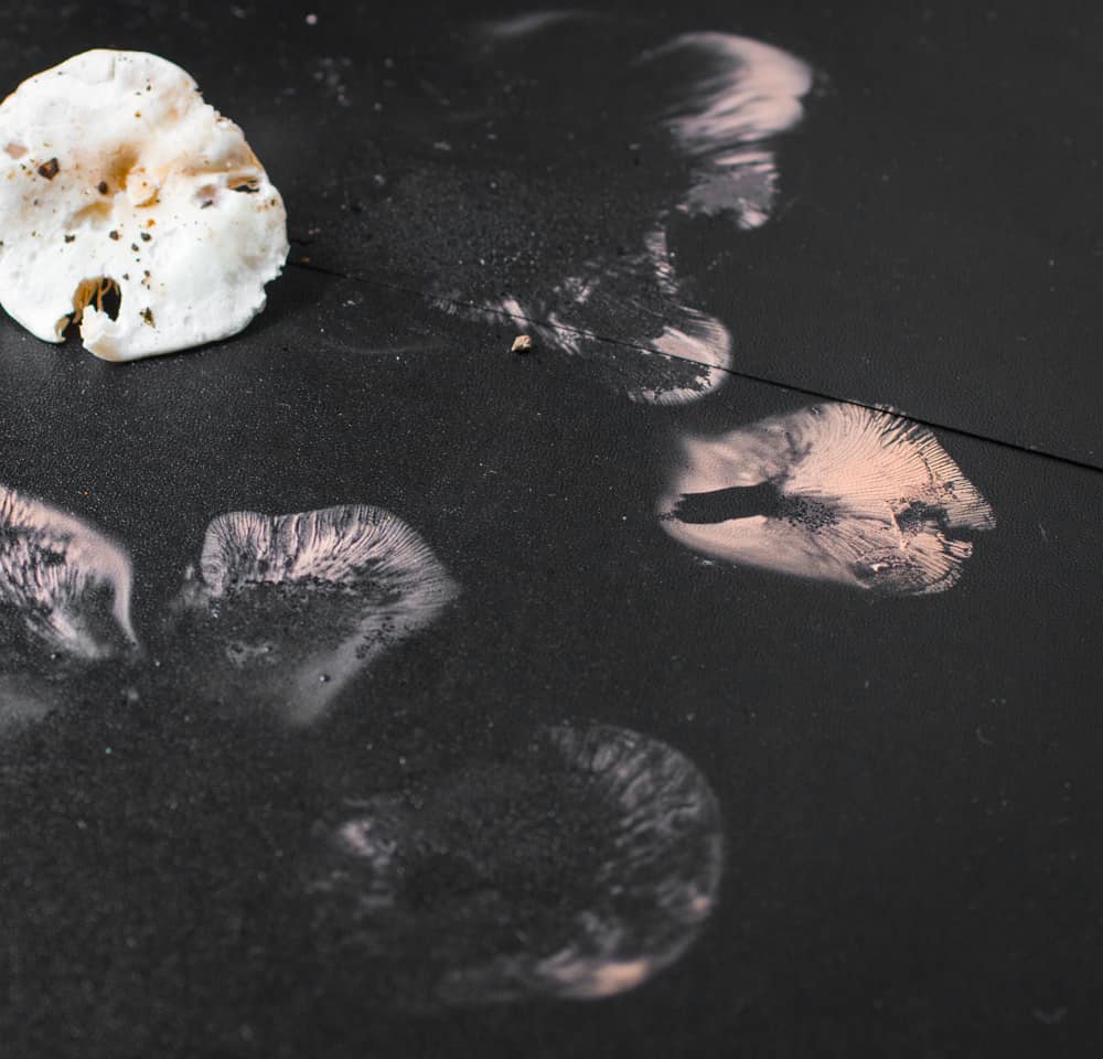 How to spore print a mushroom