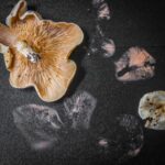 A pink mushroom spore print on a black surface.