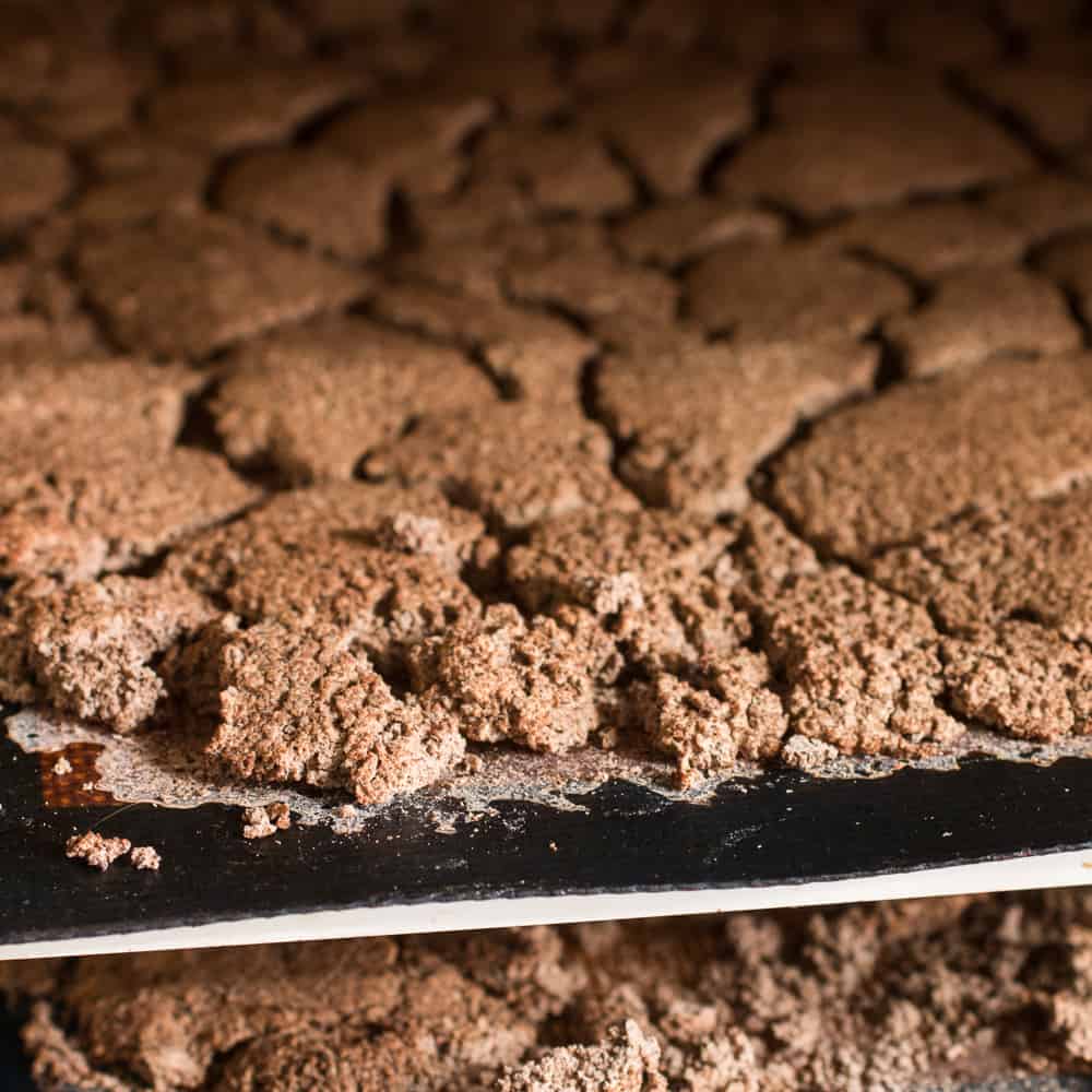 Drying acorn flour 