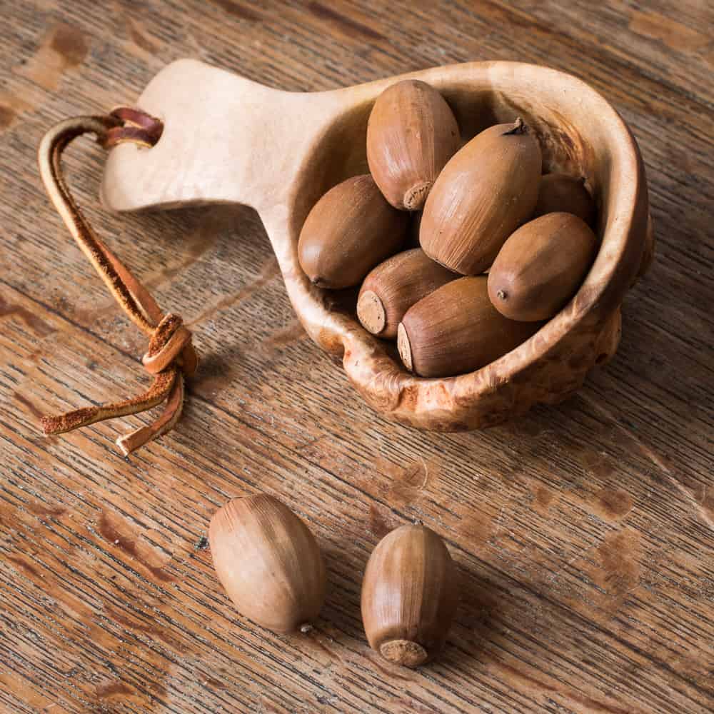 Acorns in a cup made by elves