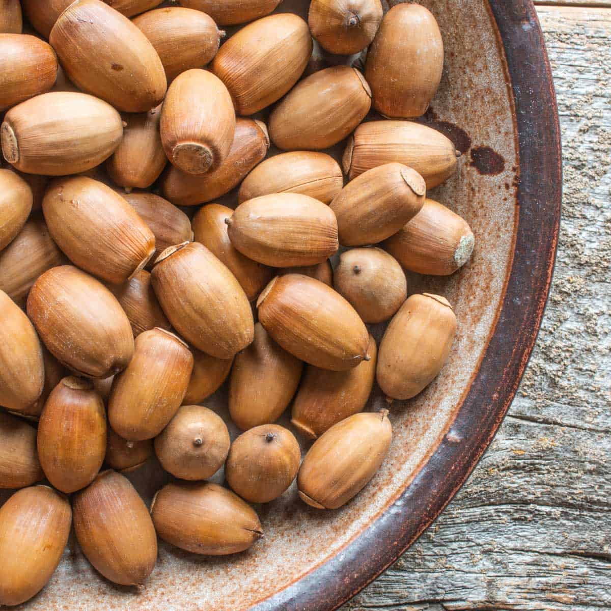 a bowl of dried acorns