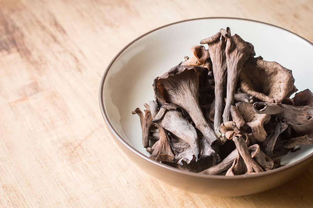 Black trumpet mushrooms or craterellus fallax in a bowl 