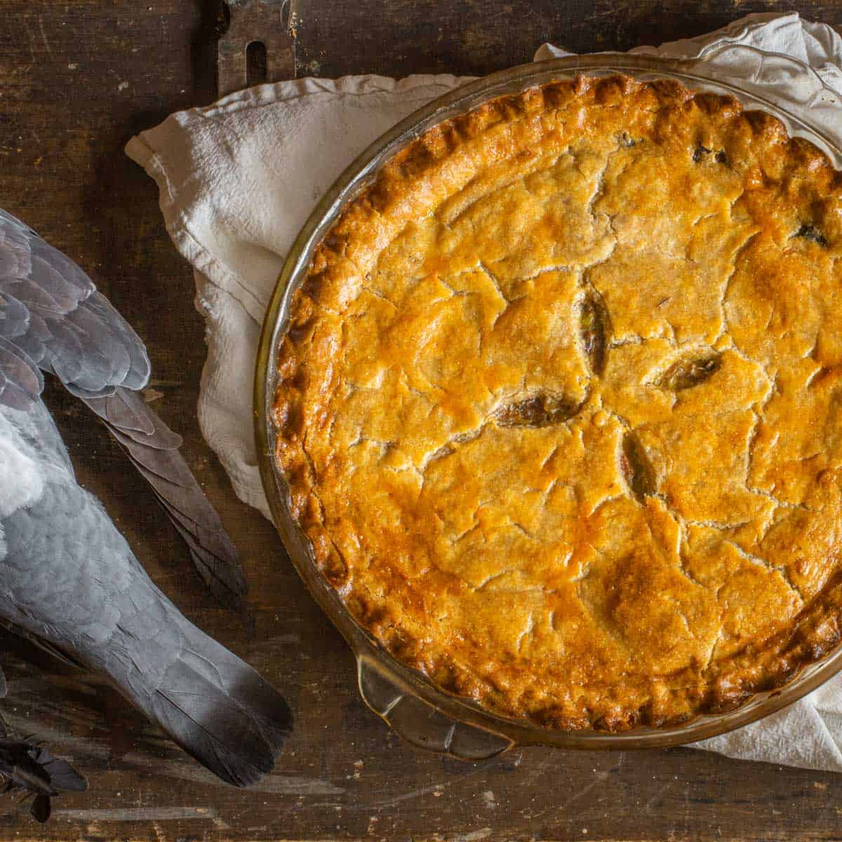 Pigeon Pie Recipe - Forager | Chef