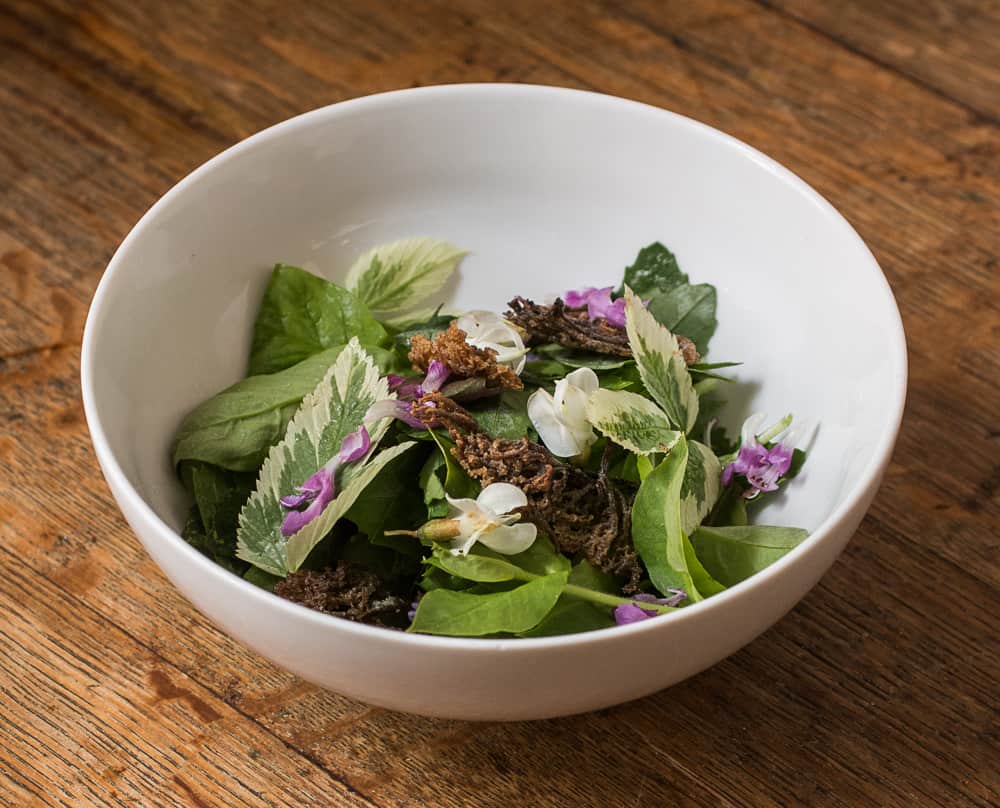 Foraged Green Salad with Crown Coral Mushroom Croutons