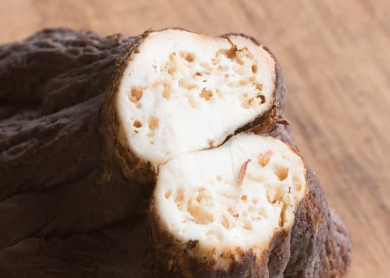 Pig Ear Mushrooms Gomphus clavatus Forager Chef